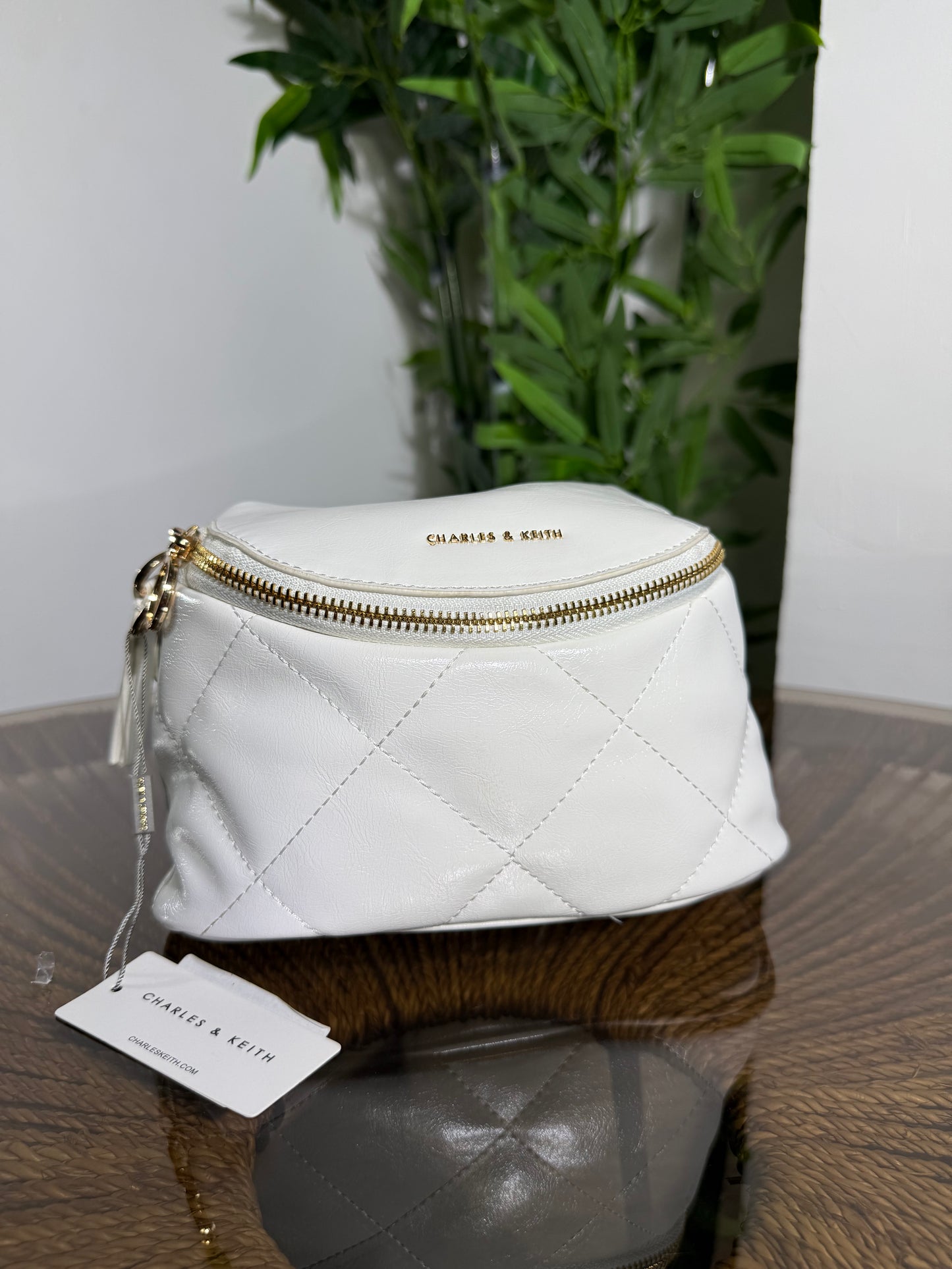 C&K Two Toned Bag 020