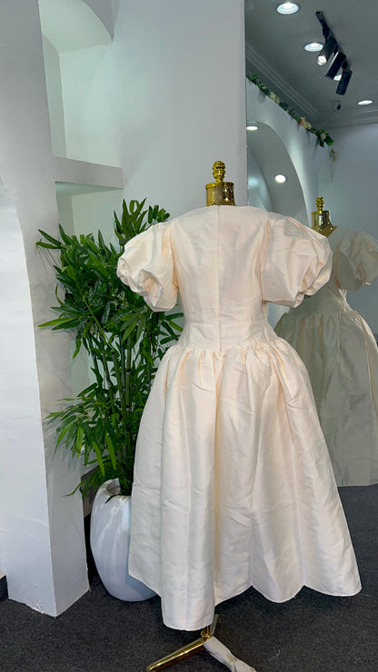 Dior Butterfly Dress