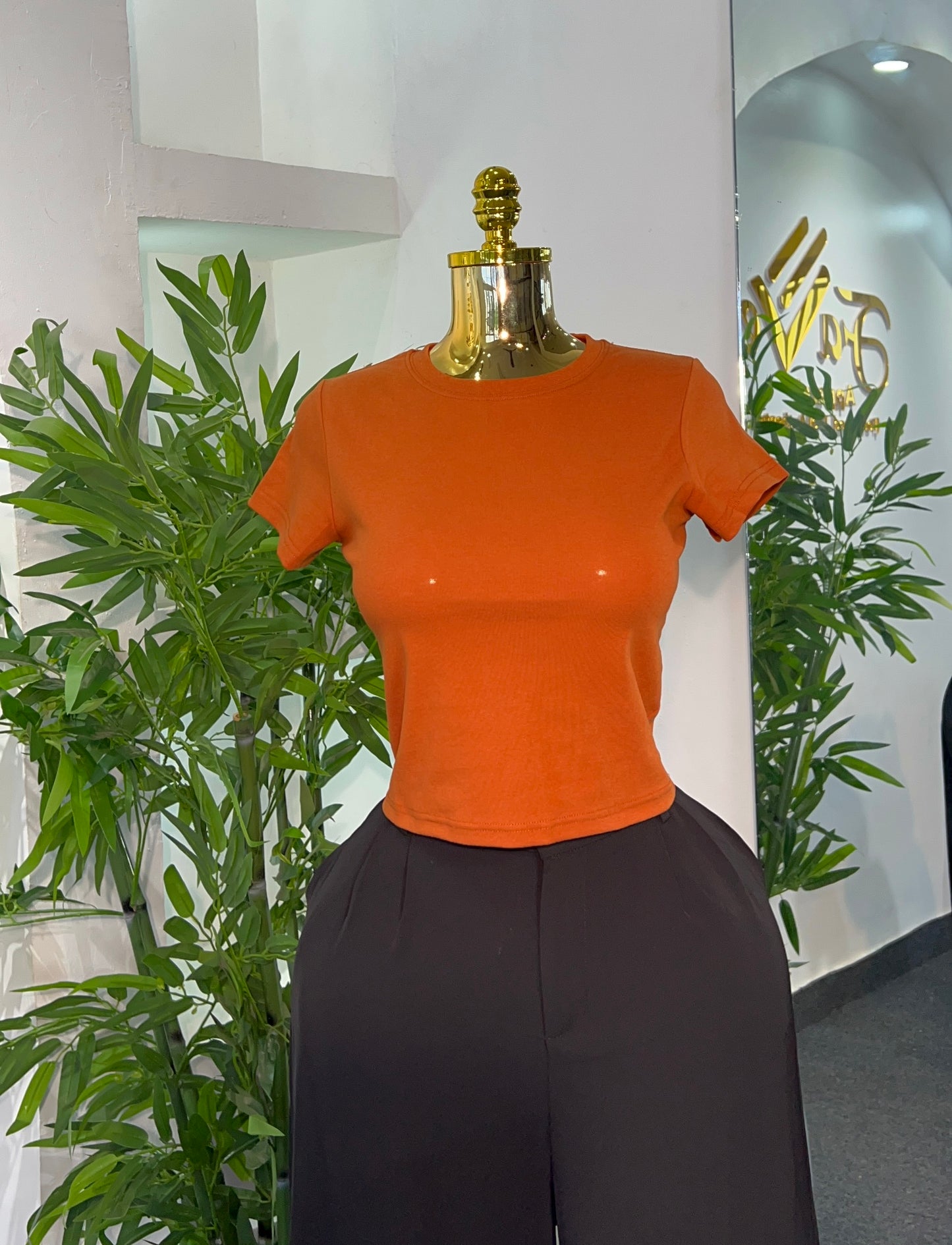 CLASSIC BASIC TOP
