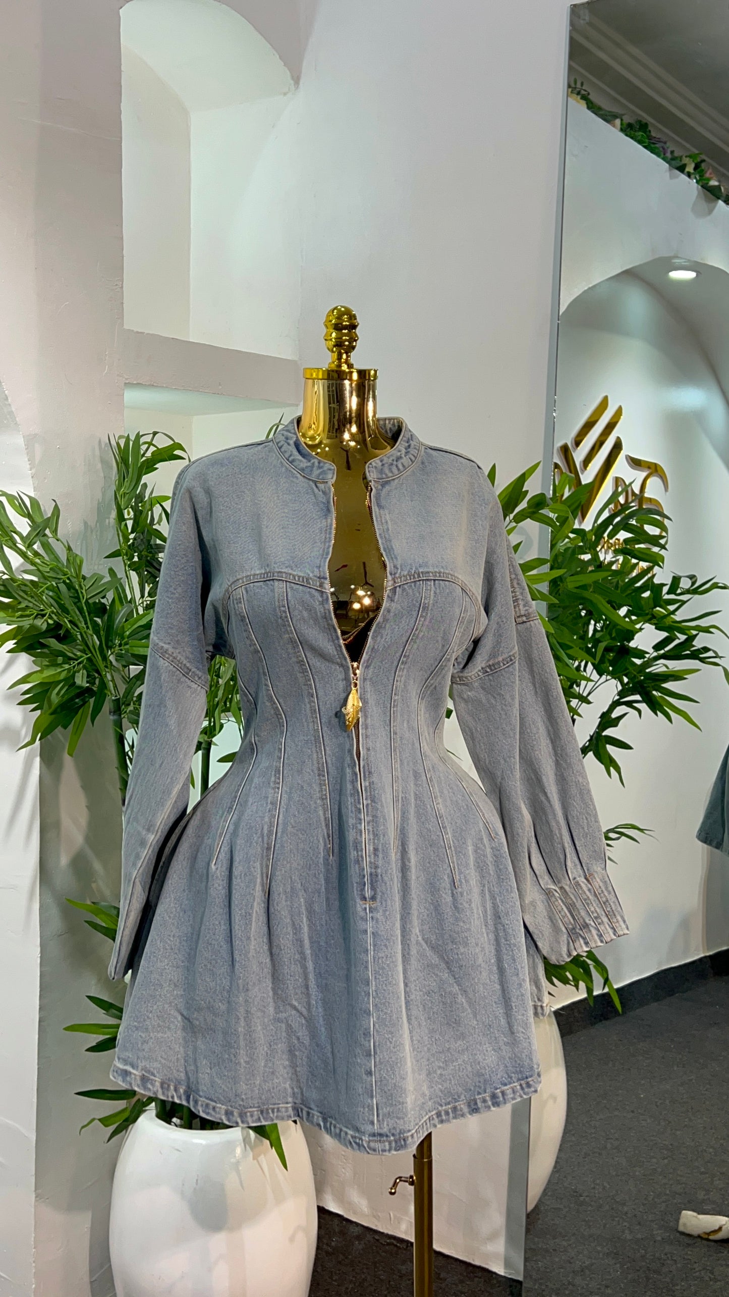 Vendom Denim Dress