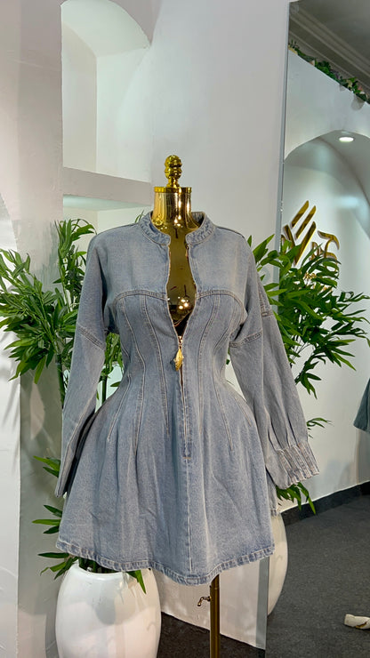 Vendom Denim Dress