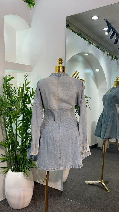 Vendom Denim Dress