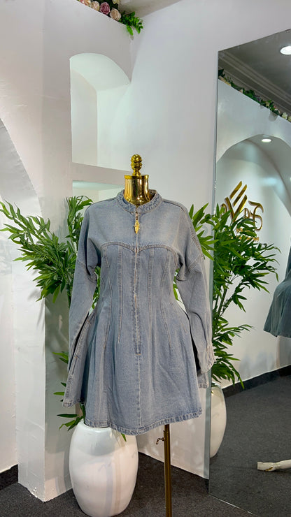 Vendom Denim Dress
