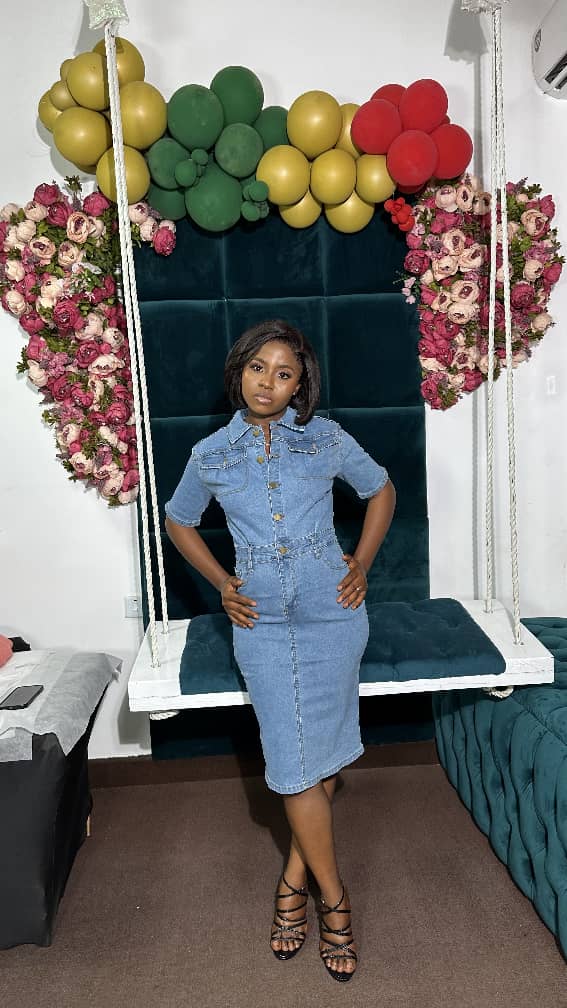 Classic Denim Dress 0430